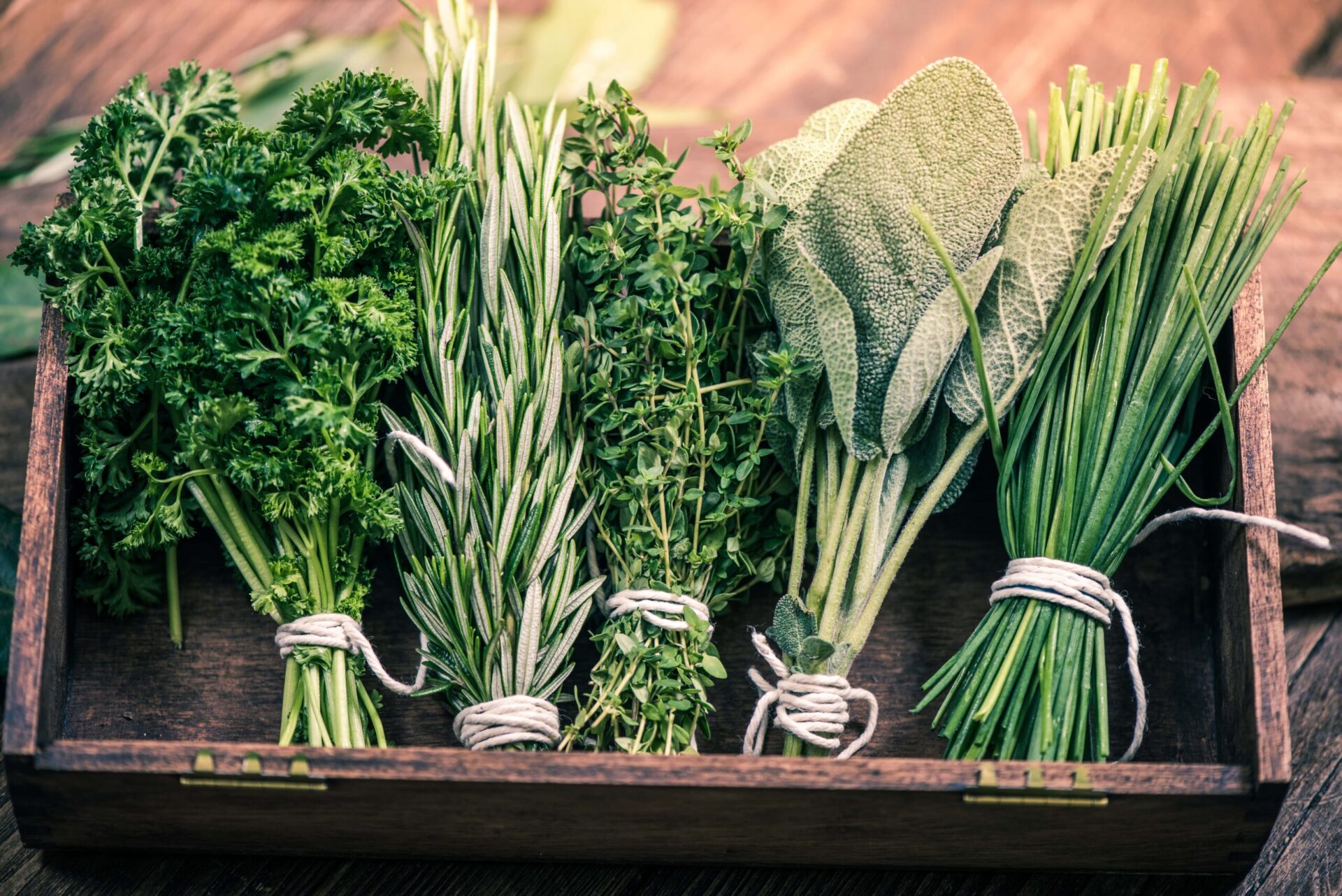 THE FOUR ESSENTIAL AROMATIC HERBS OF ITALIAN CUISINE - Alifood