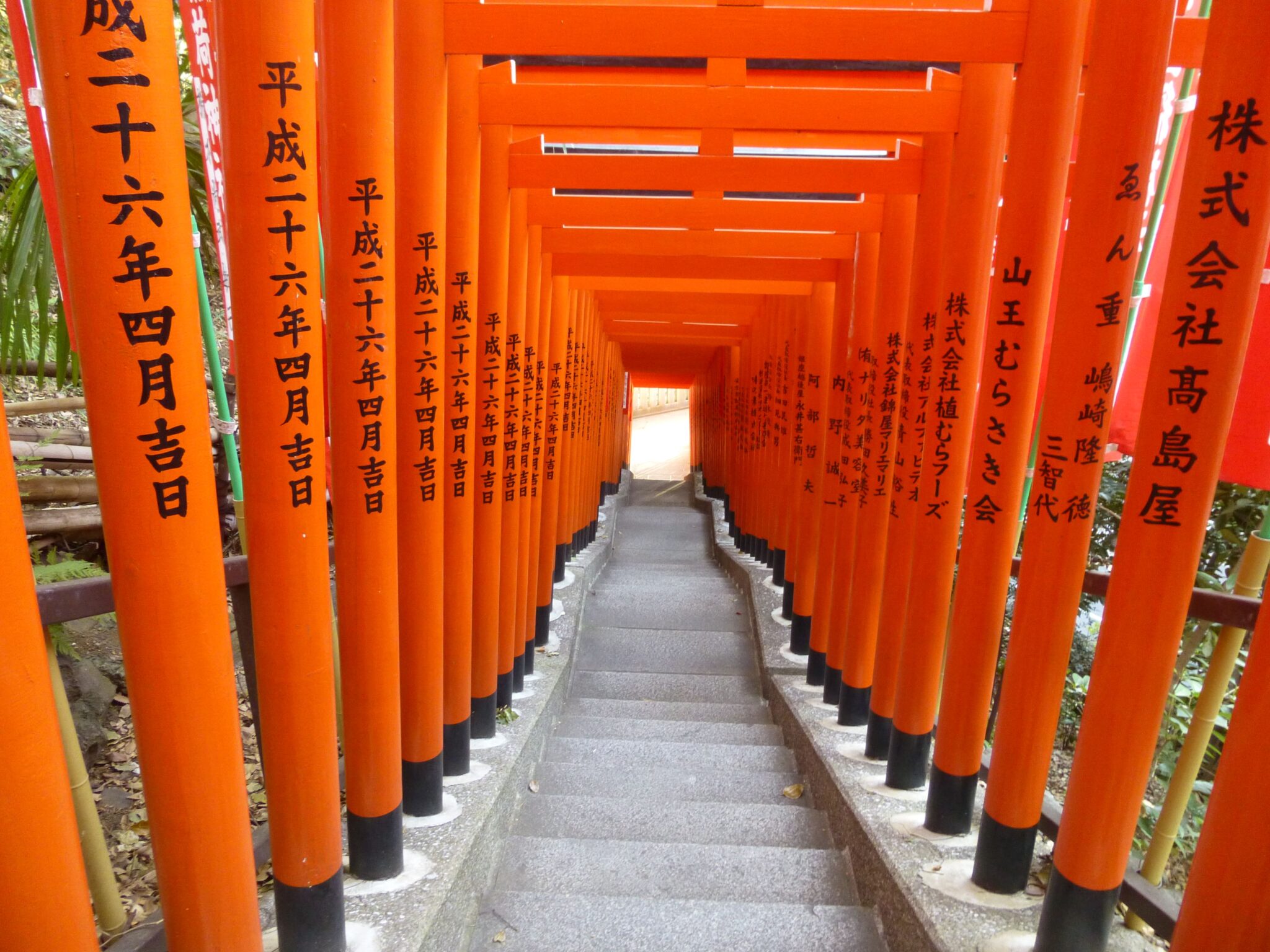 Japan: 30 Years of Trust in Alifood in the Land of the Rising Sun - Alifood